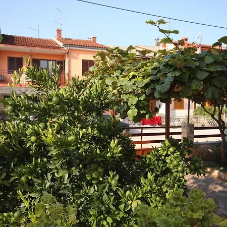 Apartment With A Parking Space - 6959 Umag