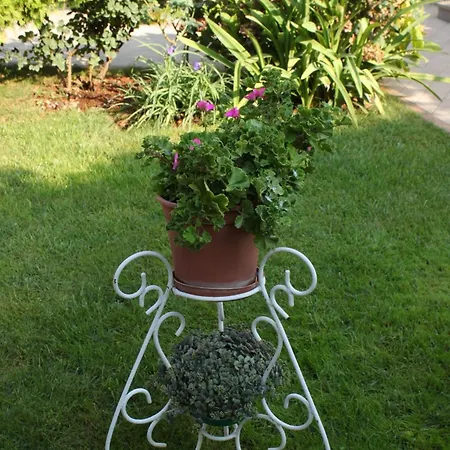 With A Parking Space - 6959 Appartamento *