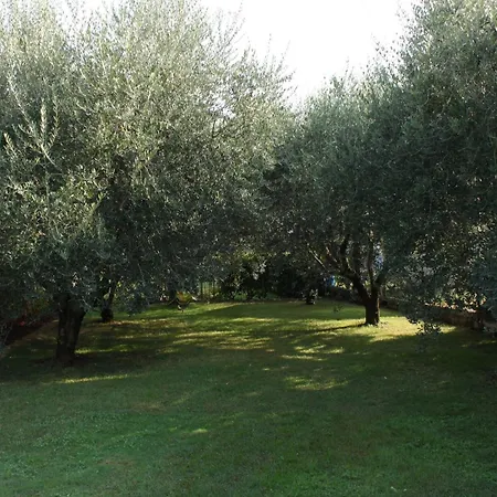 With A Parking Space - 6959 Umag