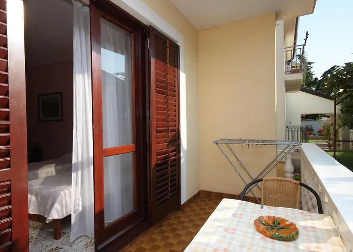 Apartamento With A Parking Space - 6959 Umag