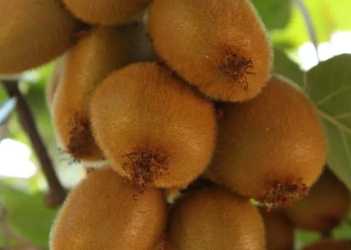 With A Parking Space - 6959 Umag