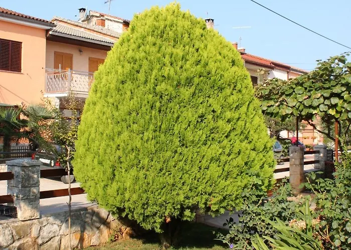 Apartman With A Parking Space - 6959 Umag