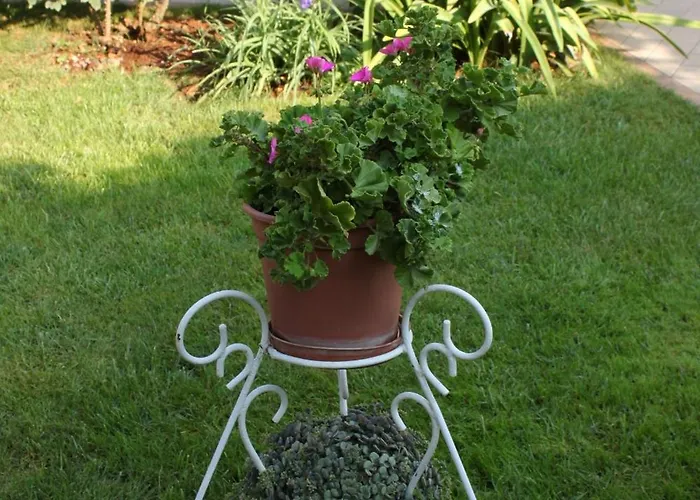 With A Parking Space - 6959 شقة *