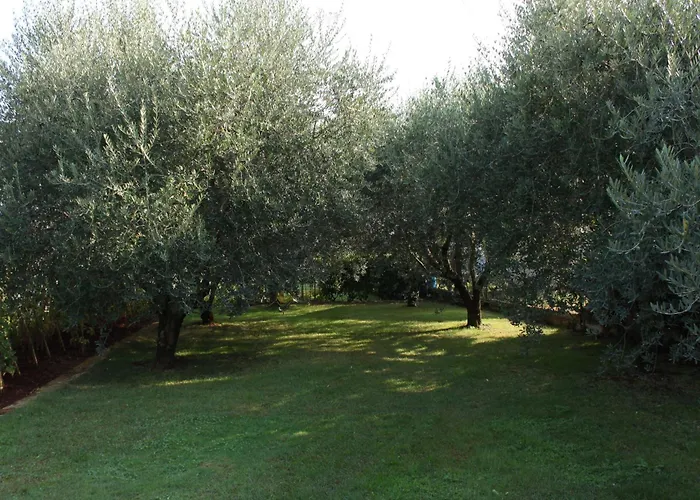 With A Parking Space - 6959 أوماغ