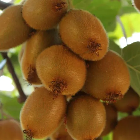 With A Parking Space - 6959 Umag